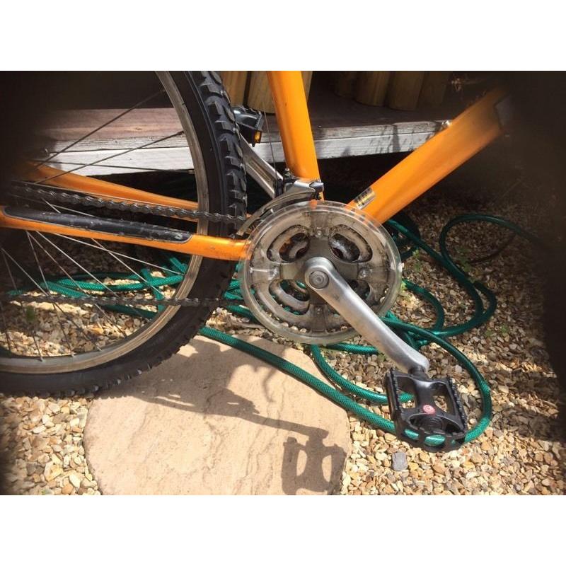 Python bite mountain bike