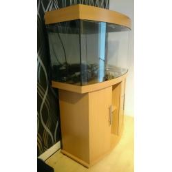 Jewel 180 Fish Tank