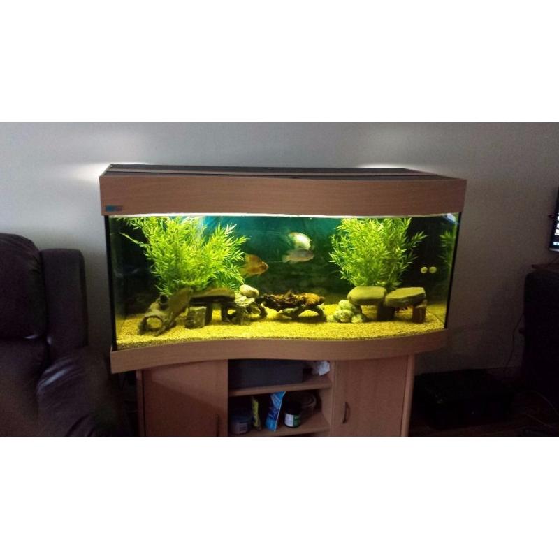 Ehiem 4ft Aquarium(complete set-up)
