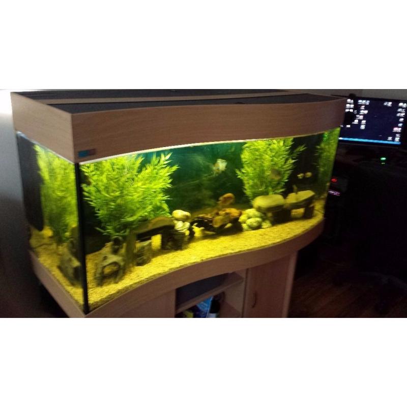 Ehiem 4ft Aquarium(complete set-up)