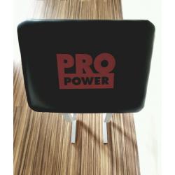 Pro Power Arm Curl Bench