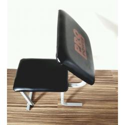 Pro Power Arm Curl Bench