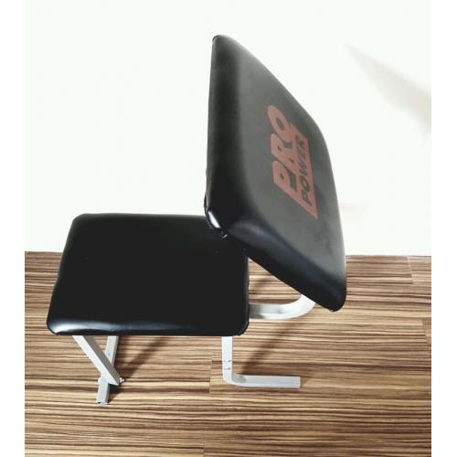 Pro Power Arm Curl Bench