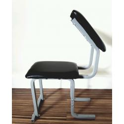 Pro Power Arm Curl Bench