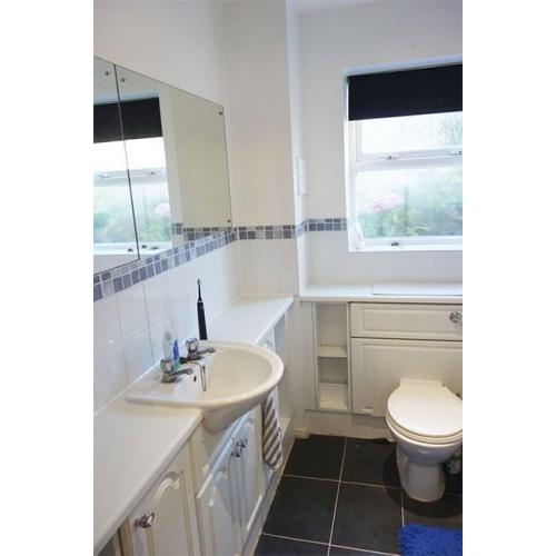 East London (Zone 3) Single Room (any designers/techies out there?)