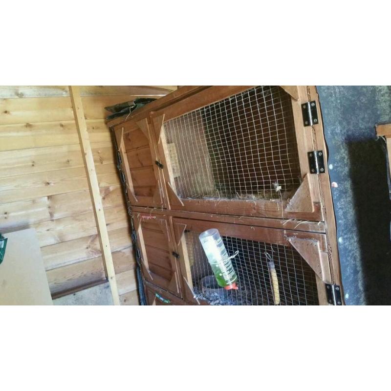 4 tier rabbit hutch