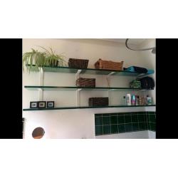 Large Glass Shelving Display Unit - Collect Camberwell SE5