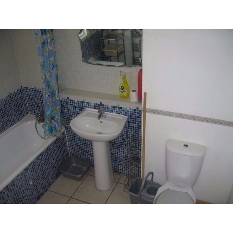 Pleasant double room in shared flat for let in Amhurst Road, Hackney E8.