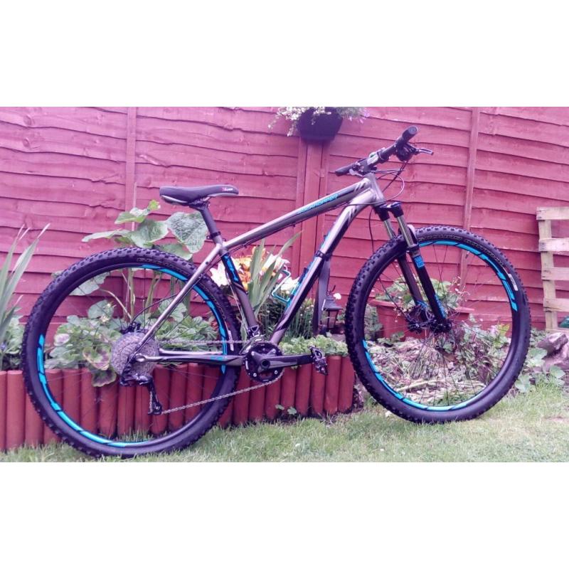Stunning Specialized Rockhopper