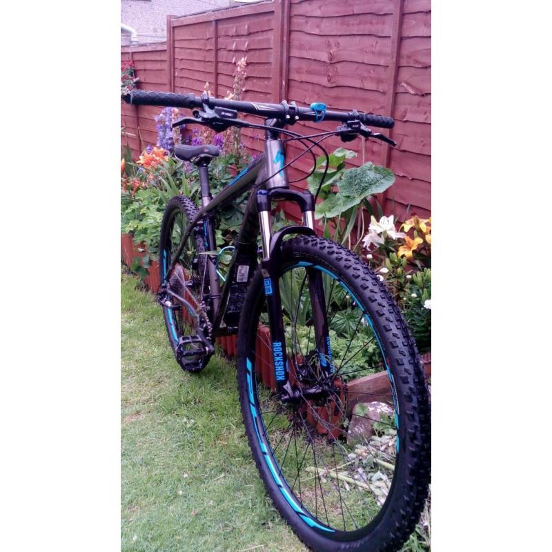 Stunning Specialized Rockhopper