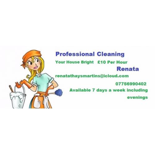 Professional Cleaning