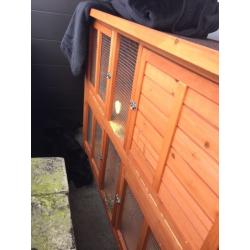 Twin outdoor rabbit hutch