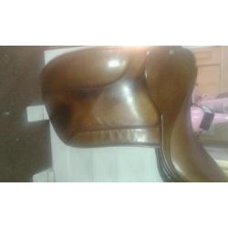 Ideal Ramsey show saddle