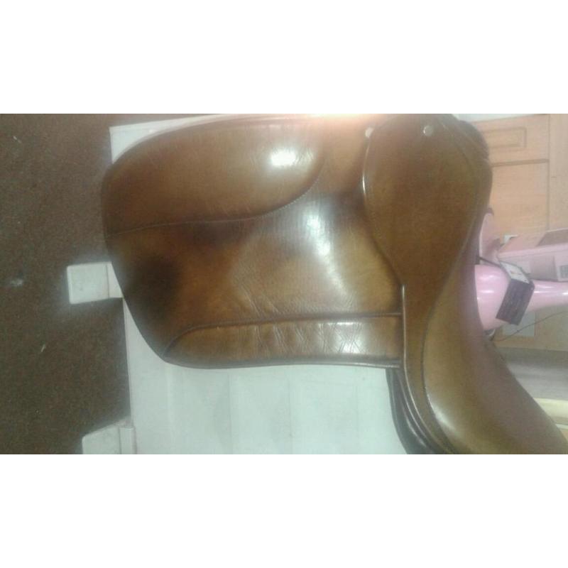 Ideal Ramsey show saddle