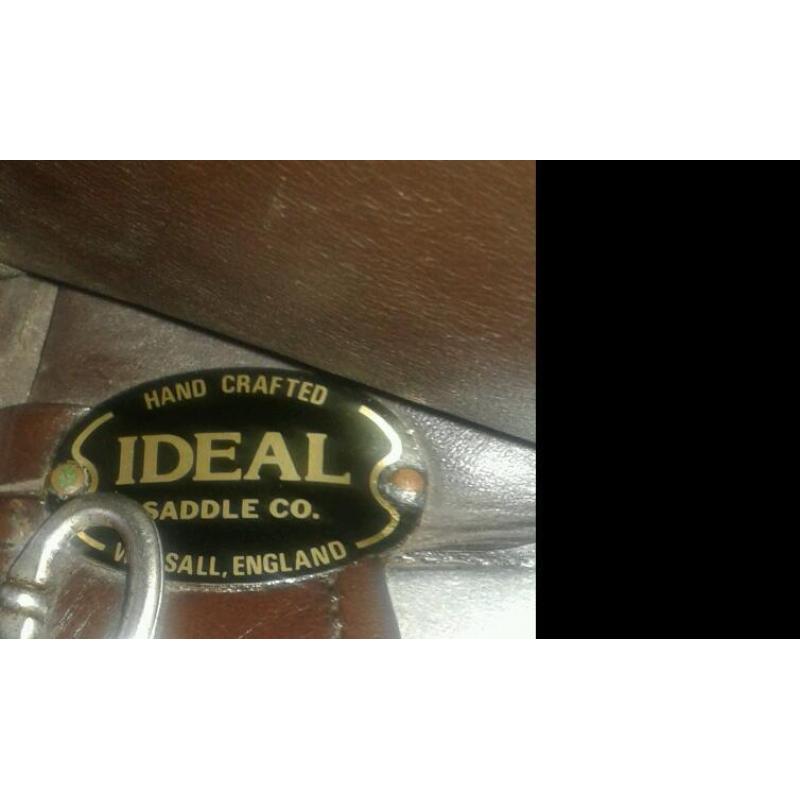 Ideal Ramsey show saddle