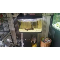 fish tank for sale