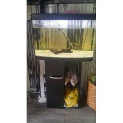 fish tank for sale