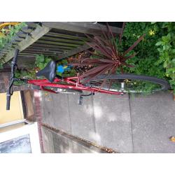 Road Bike Apollo