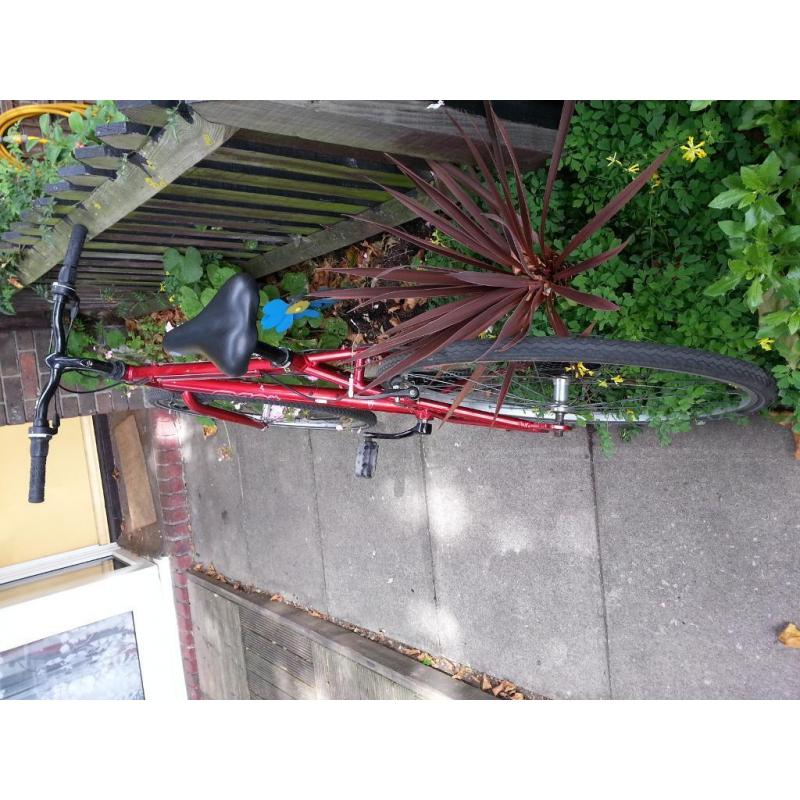 Road Bike Apollo