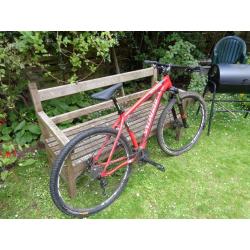 Specialized Rockhopper 2014 mountain bike