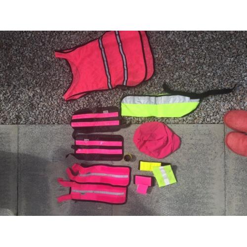 Horse/ Rider ?? equipment