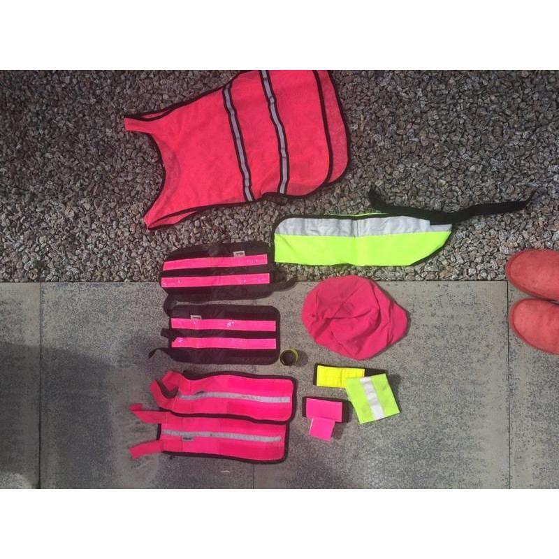 Horse/ Rider ?? equipment