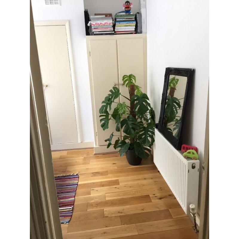 Double room in stunning 2 Level house off Columbia Road