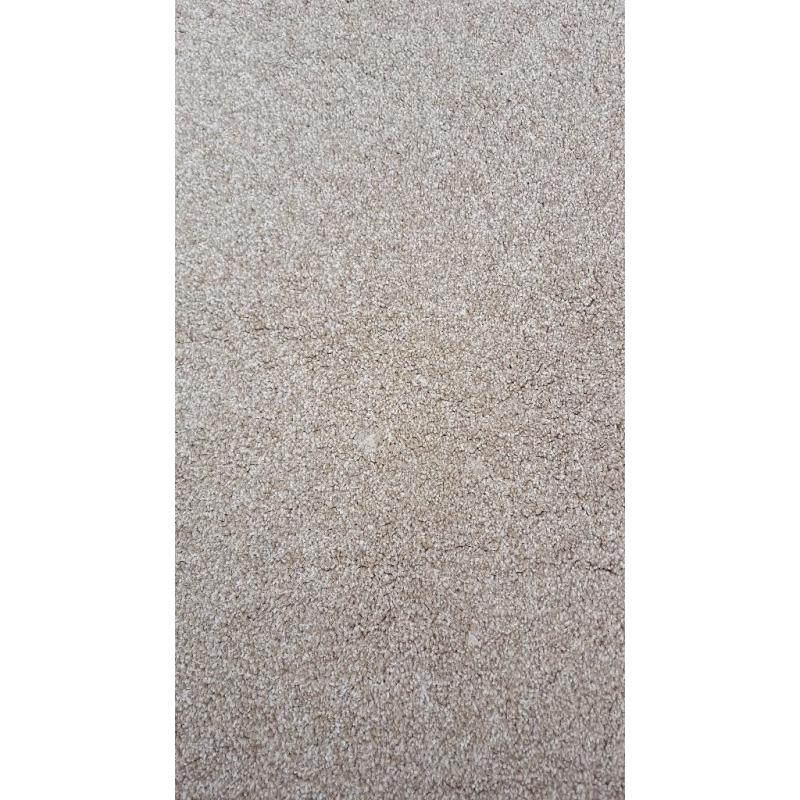 Stone Beige carpet (New)
