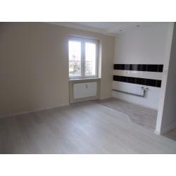 Painting & Decorating ,Carpentry