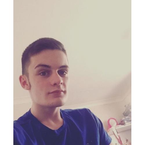 Looking for job any job at all hard worker and quick learner