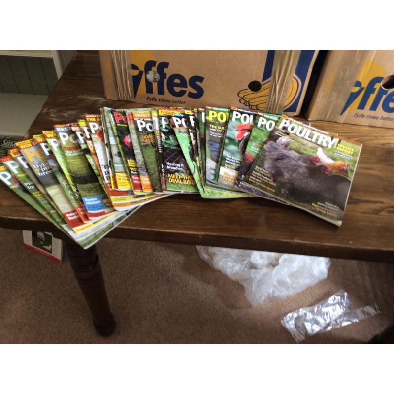 28 Poultry Magazines - to learn all you need to know about Chickens