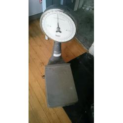 30kg salter scales