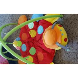 Play mat ladybird