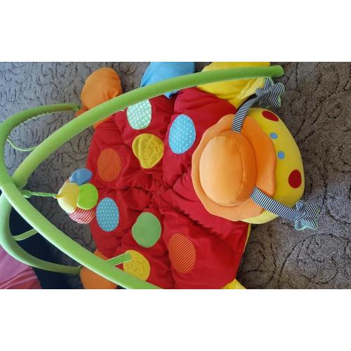 Play mat ladybird