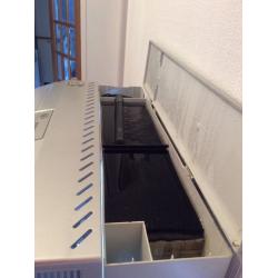 Fish Aquarium