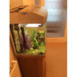 Fish Aquarium