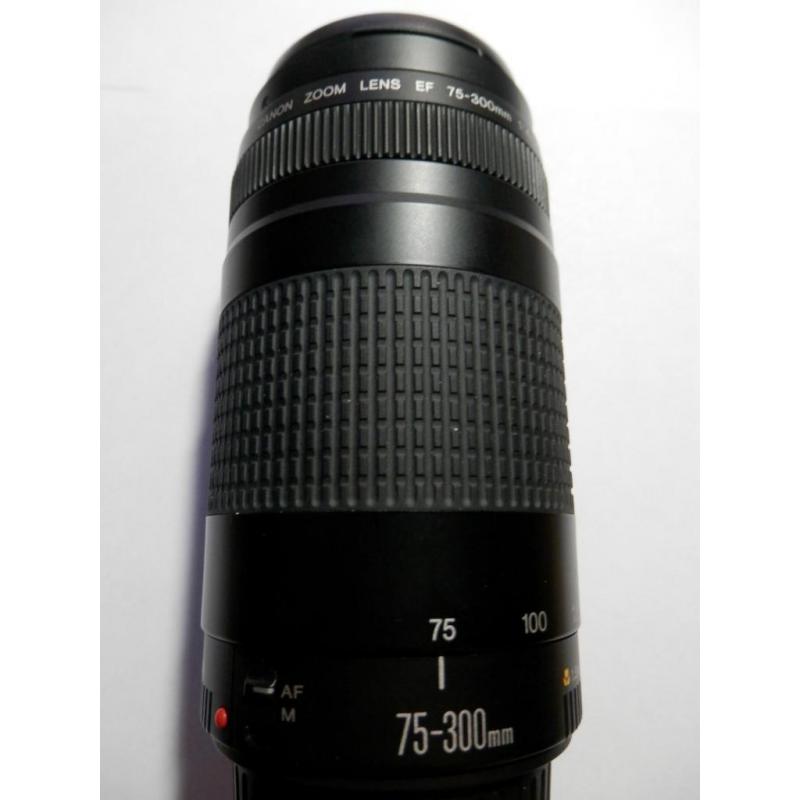 Canon EOS 300D / Digital Rebel 6.3 MP Digital SLR Camera - Silver (Kit w/...