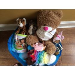 Bag of soft toys and building bricks