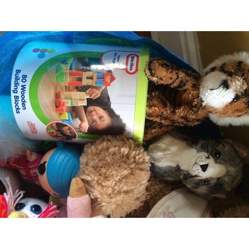 Bag of soft toys and building bricks