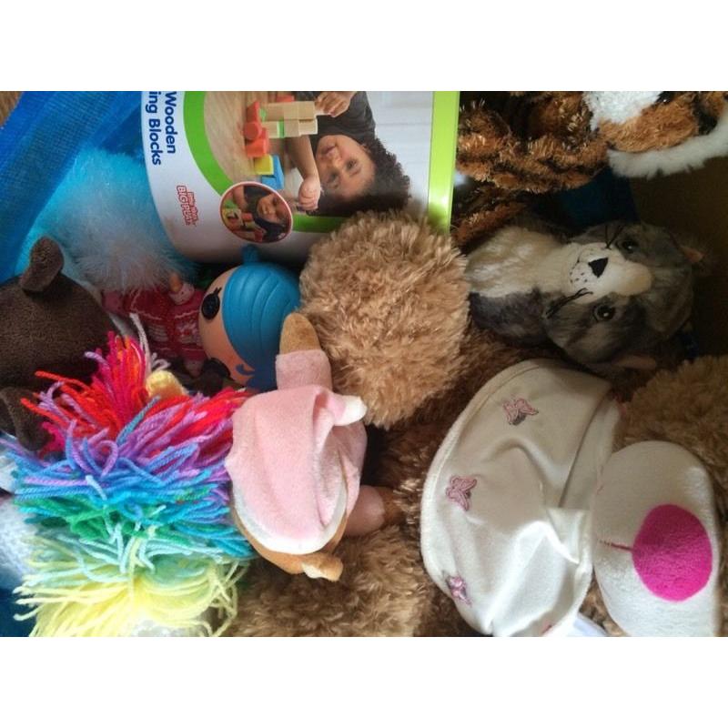 Bag of soft toys and building bricks