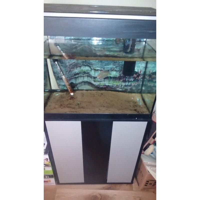 Looking to Rehome a single silver dollar fish plus free 90L Aquatium ROMA 90, heater and pump