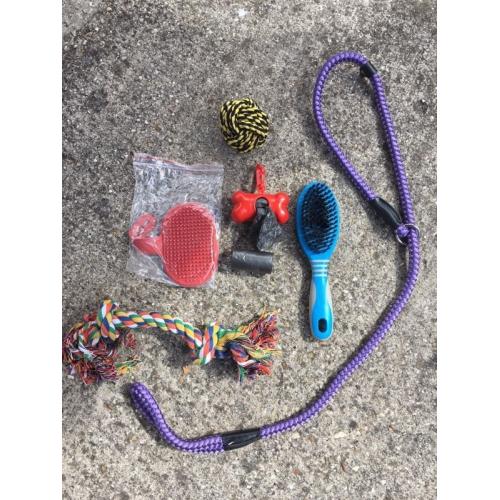 Dog bits bundle, lead,toy,brush etc