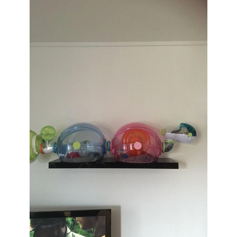 Habitrail ovo home - cages x 2 with plenty of extras