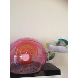 Habitrail ovo home - cages x 2 with plenty of extras