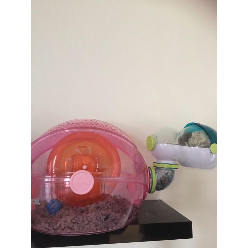 Habitrail ovo home - cages x 2 with plenty of extras