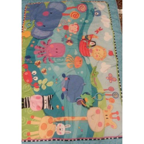 Fisher Price play mat