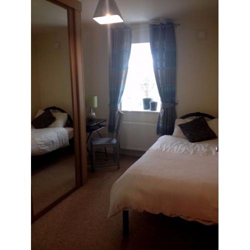 Room for professional. Short term