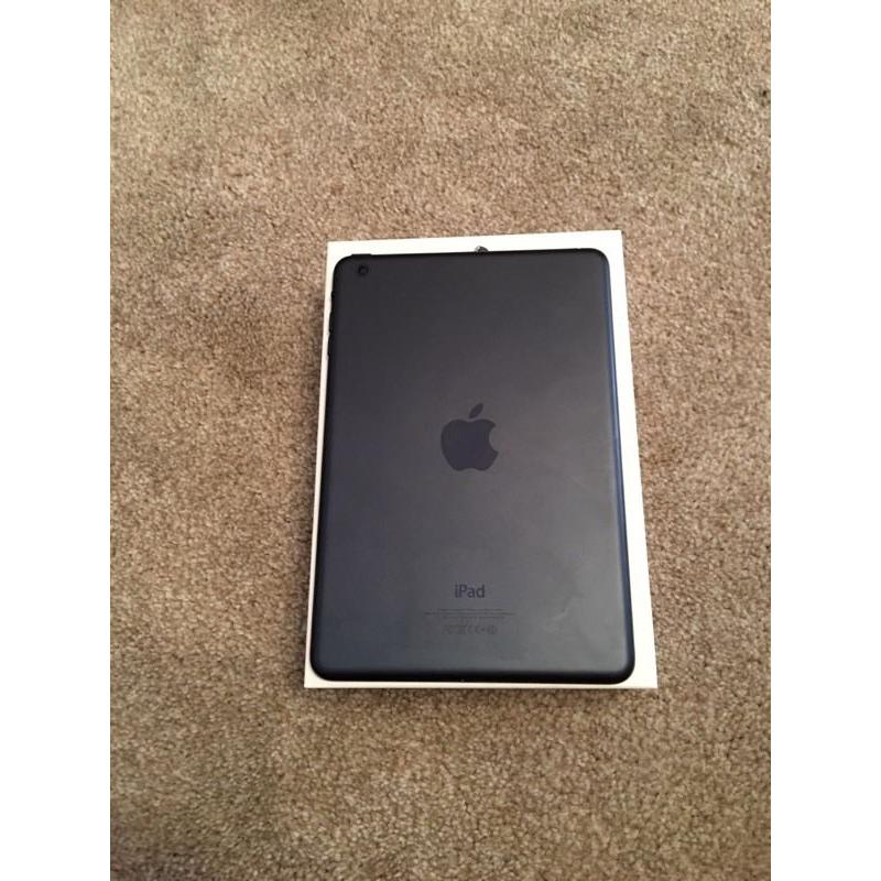 iPad mini 16GB Perfect Condition