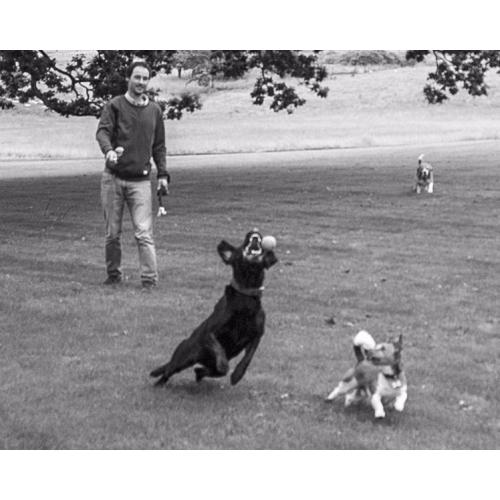 2hr long Professional Dog Walking in Edinburgh