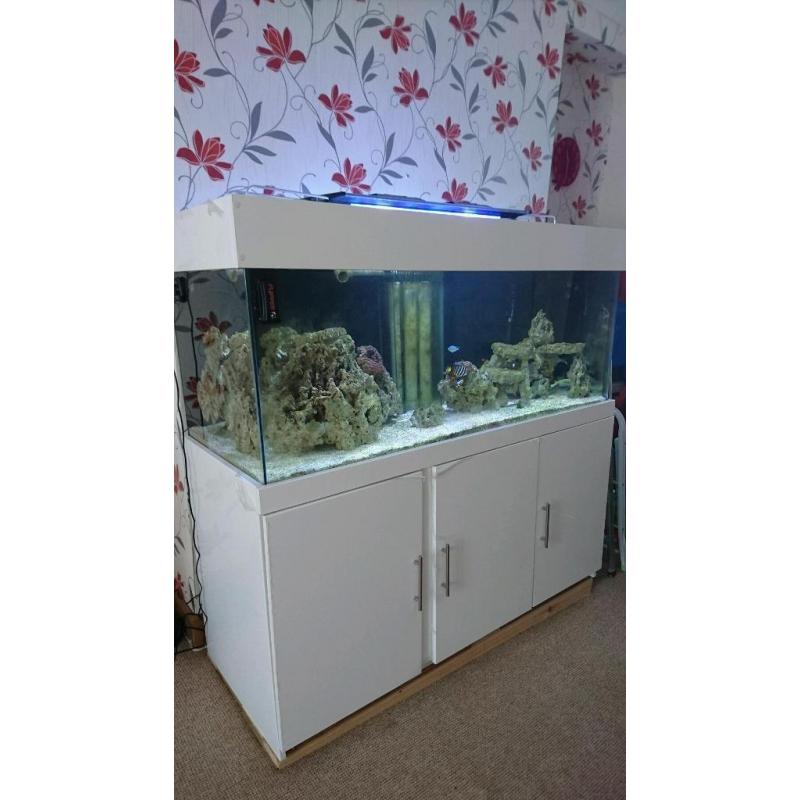 5ft marine tank set up